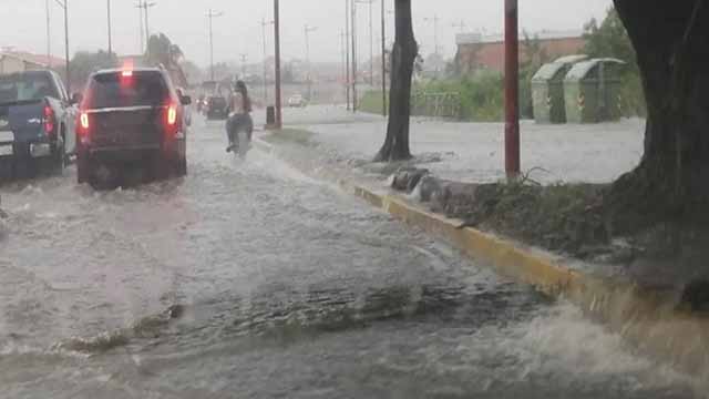 Intensas lluvias dejan afectaciones en Mérida este sábado