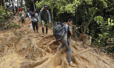 Migración Panamá: «Todos los Estados somos cómplices» de las atrocidades en Darién