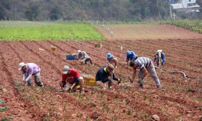 Nicolás Maduro celebra el aumento del abastecimiento interno y destaca la producción nacional