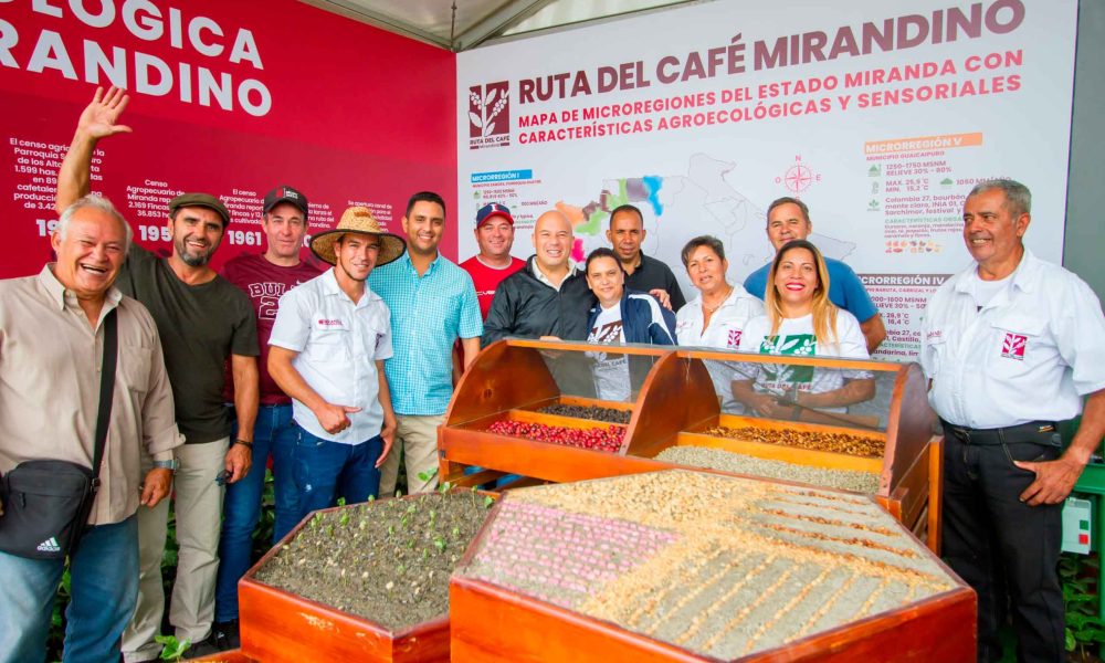 Cultivos de café en las montañas de Miranda, reflejando una tradición de más de 240 años.
