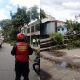 Lluvias en Caracas causan caída de árboles y cortes eléctricos
