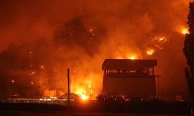 Incendios forestales en Turquía dejan 14 muertos y 44 heridos