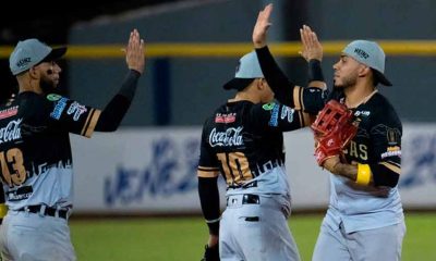 Leones del Caracas y Tigres de Aragua intercambian jugadores