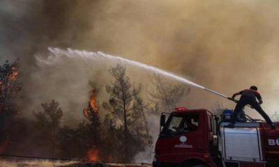 Incendios forestales azotan Turquía en temperaturas récord