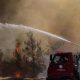 Incendios forestales azotan Turquía en temperaturas récord