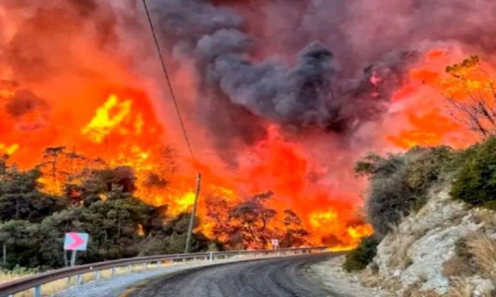 Incendio en California arrasa con más de 348,000 Acres