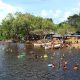 El Río Morichal Largo: Un paraíso natural y cultural en el Estado Monagas