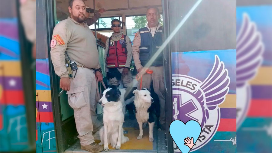 Equipo canino de rescate KSAR ECID desplegado