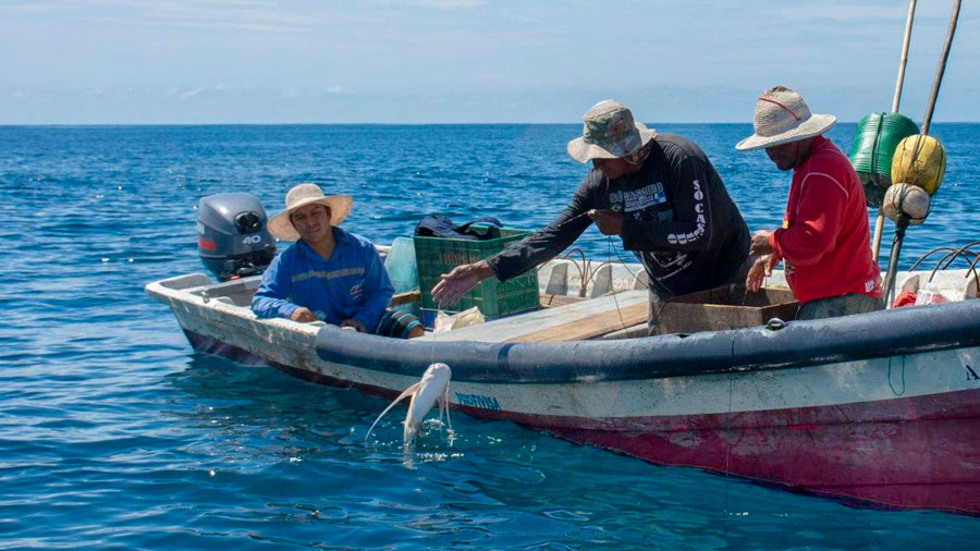 Venezuela y Brasil lanzan proyecto para fortalecer la pesca