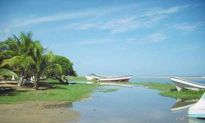 Cúpira: Un paraíso por descubrir en el Estado Miranda