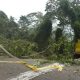 Cierre temporal de la carretera Ocumare de la Costa