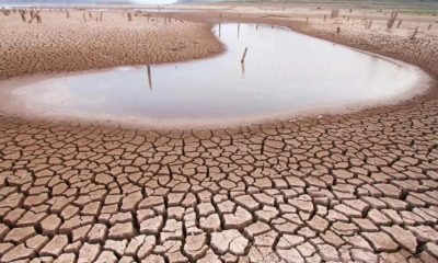 FAO pide acción urgente a impactos globales de "La Niña"