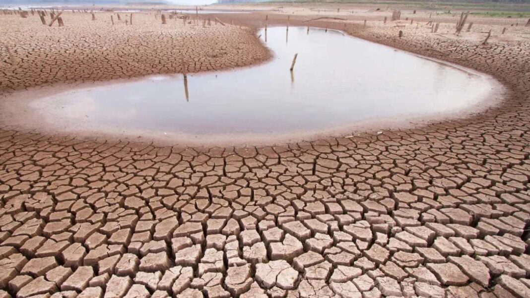 FAO pide acción urgente a impactos globales de "La Niña"