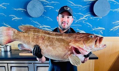 Andy Daboin creando una obra maestra culinaria que combina sabores tradicionales y contemporáneos.