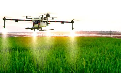 Expertos discuten sobre la digitalización en la agricultura durante el II Congreso de Inteligencia Artificial en Carabobo.