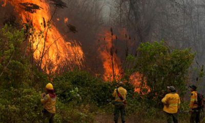 Los incendios forestales en Bolivia han alcanzado niveles alarmantes, convirtiéndose en la peor crisis ambiental en el país desde los eventos de 2019