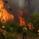 Los incendios forestales en Bolivia han alcanzado niveles alarmantes, convirtiéndose en la peor crisis ambiental en el país desde los eventos de 2019