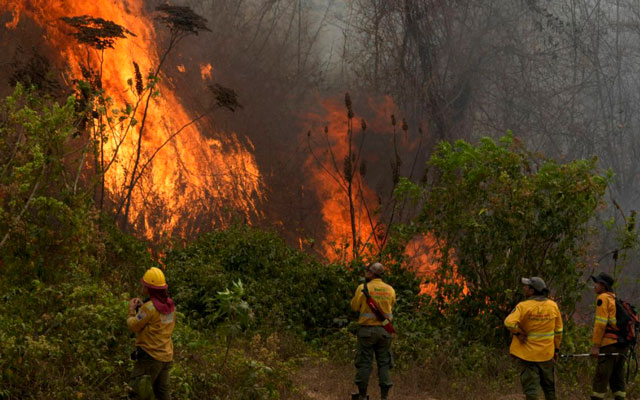 Los incendios forestales en Bolivia han alcanzado niveles alarmantes, convirtiéndose en la peor crisis ambiental en el país desde los eventos de 2019