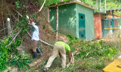 Los trabajadores de Servicarrizal realizan tareas de limpieza en Cerro Grande, contribuyendo a la embellecimiento del sector.