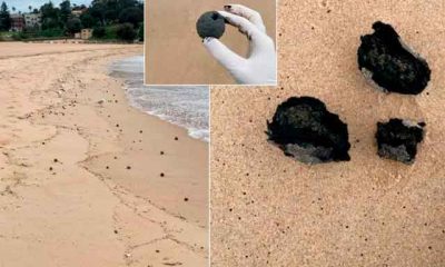 Autoridades investigan la aparición de misteriosas bolas negras en Coogee Beach, Australia.