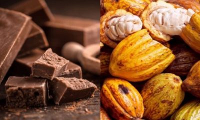 Venezuela celebra el Día Nacional del Cacao