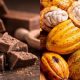 Venezuela celebra el Día Nacional del Cacao