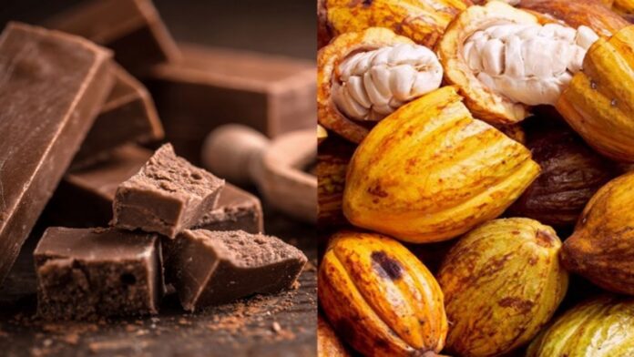 Venezuela celebra el Día Nacional del Cacao