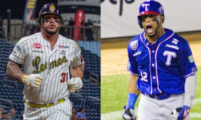 Leones y Tiburones protagonizan la jornada de hoy de la LVBP