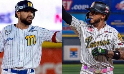 Leones y Magallanes reavivan su histórica rivalidad en la LVBP