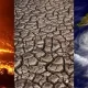 ¿Cómo pueden las empresas combatir el cambio climático?