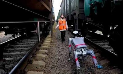 Perros robot revolucionan la seguridad ferroviaria en Rusia