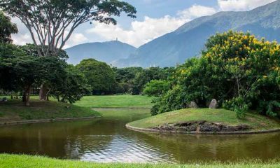 Parque Francisco de Miranda: el pulmón verde de Caracas