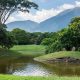 Parque Francisco de Miranda: el pulmón verde de Caracas