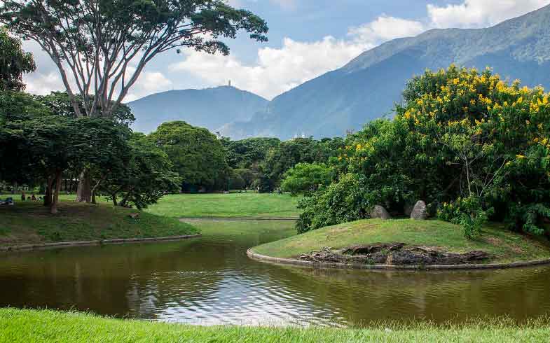 Parque Francisco de Miranda: el pulmón verde de Caracas