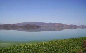 La Laguna de Taiguaiguay, un paraíso escondido entre Villa de Cura y Cagua.