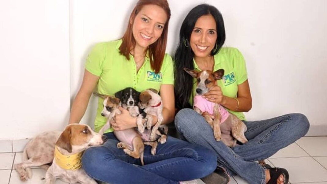 Fundación PIM celebra 10 años dedicada a la protección animal