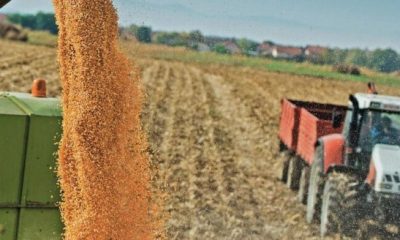 Fedeagro alerta sobre impacto del diferencial cambiario en la rentabilidad agrícola