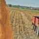 Fedeagro alerta sobre impacto del diferencial cambiario en la rentabilidad agrícola