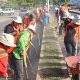 Tapachula integra a extranjeros en programas de empleo temporal mientras esperan trámites migratorios.