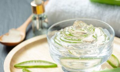 La sábila, conocida también como aloe vera o acíbar, es una planta milenaria valorada por sus múltiples beneficios