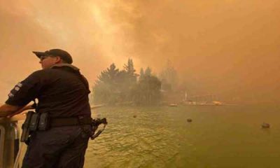 Chile implementa medidas extremas para frenar incendios forestales ante temperaturas récord. | Foto: EFE